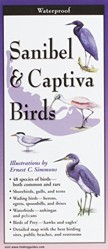 Sanibel & Captiva Birds