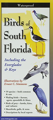 Birds of South Florida
