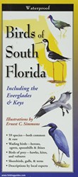 Birds of South Florida