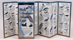 Birds of the Southeast Atl. Coast