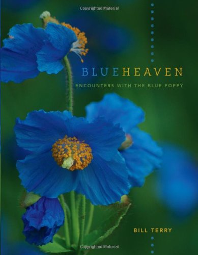 Blue Heaven