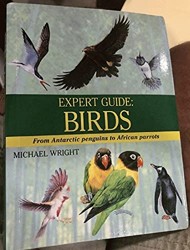 Expert Guide