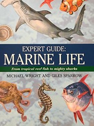 Expert Guide: Marine Life