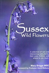 Sussex Wild Flowers