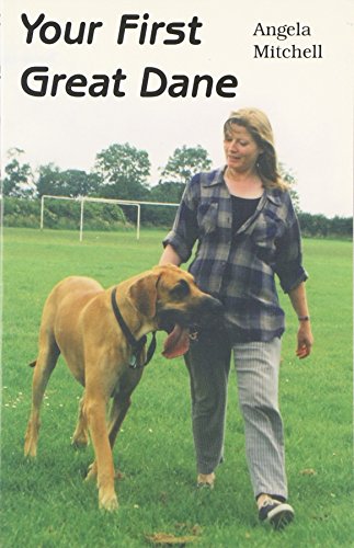 Your First Great Dane