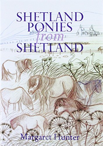 Shetland Ponies from Shetland