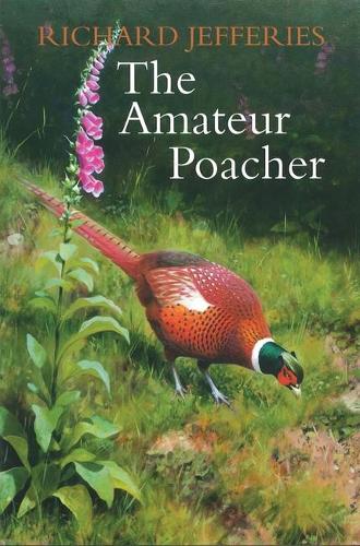 The Amateur Poacher