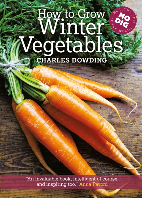 How to Grow Winter Vegetables