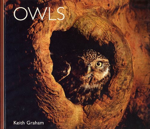 Owls