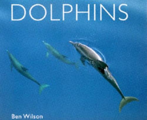 Dolphins