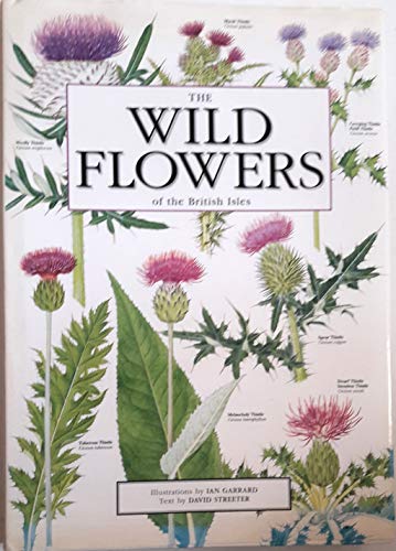 The Wild Flowers of the British Isles