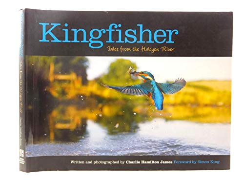 Kingfisher
