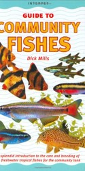 An Interpet Guide to Community Fishes