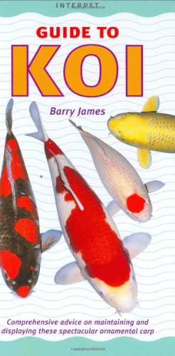 Guide to Koi
