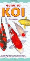 Guide to Koi