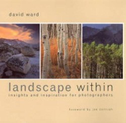 Landscape within