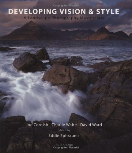 Developing Vision and Style