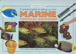 A Practical Guide to Setting Up Your Marine Tropical Aquarium