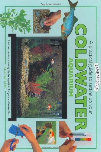 A Practical Guide to Setting Up Your Cold Water Aquarium