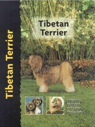 Tibetan Terrier
