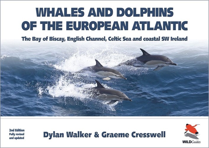Whales and Dolphins of the European Atlantic The Bay of Biscay, English Channel, Celtic Sea, and Coastal Southwest Ireland, Fully Updated 2e