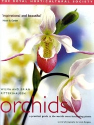 RHS Orchids