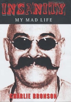 Insanity - My Mad Life