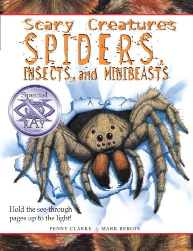 Spiders and Minibeasts