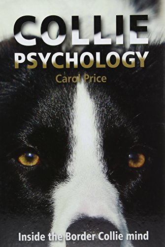 Collie Psychology