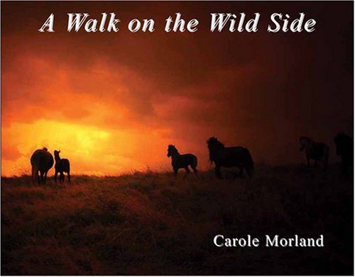 A Walk on the Wild Side