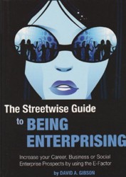 The Streetwise Guide to Being Enterprising