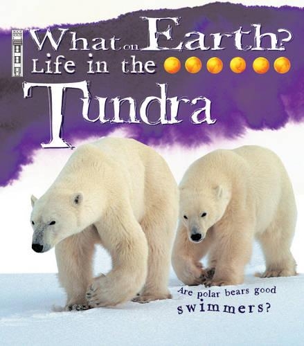Life in the Tundra
