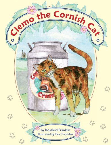 Clemo the Cornish Cat