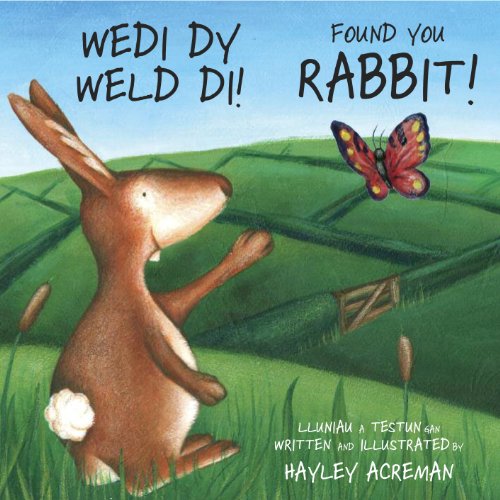 Wedi Dy Weld Di / Found You Rabbit