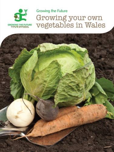 Growing Your Own Vegetables in Wales