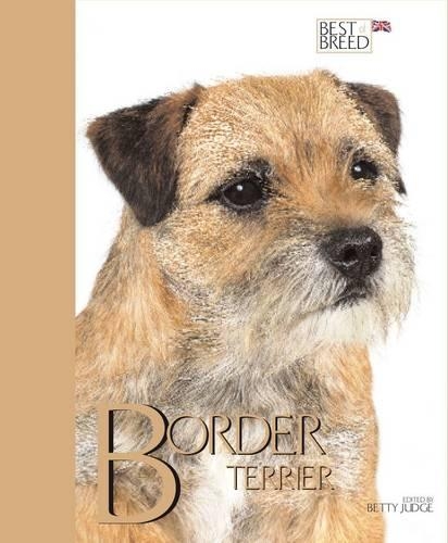 Border Terrier