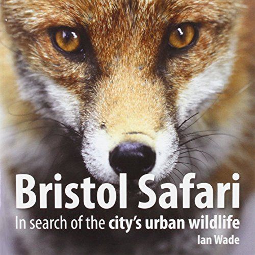 Bristol Safari