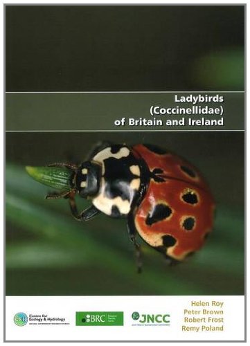 Ladybirds (Coccinellidae) of Britain and Ireland