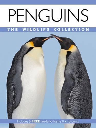 Penguins