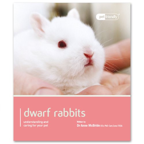 Dwarf Rabbit - Pet Friendly
