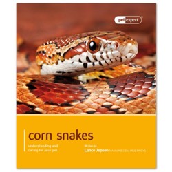 Corn Snake