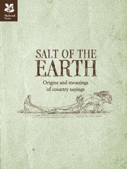 Salt of the Earth