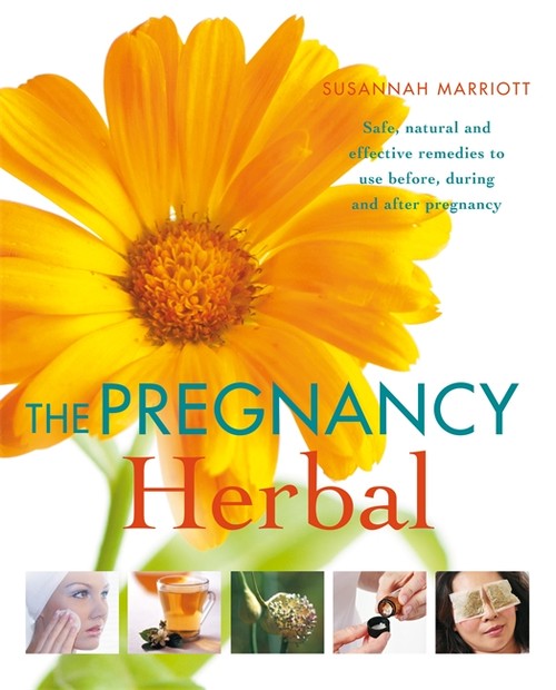 The Pregnancy Herbal