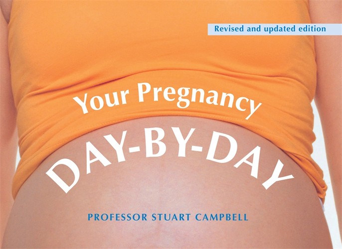 Your Pregnancy Day-by-Day