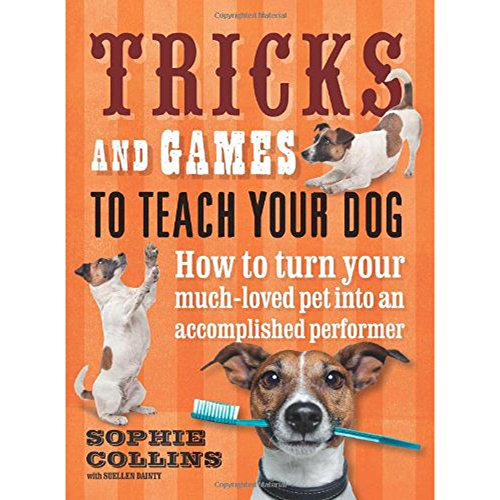 Tricks and Games to Teach Your Dog