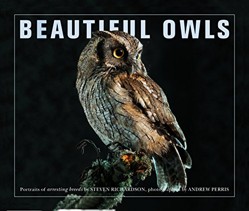 Beautiful Owls
