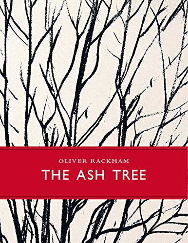 The Ash Tree