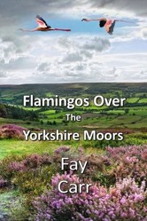 Flamingos Over the Yorkshire Moors