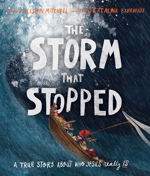 The The Storm That Stopped Storybook