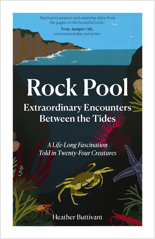 Rock Pool